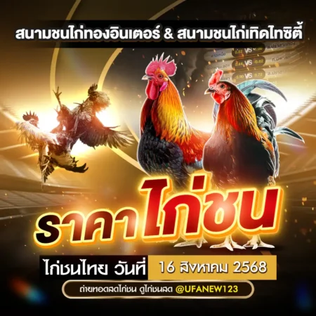 ราคาไก่ชน 16 สิงหาคม 2568