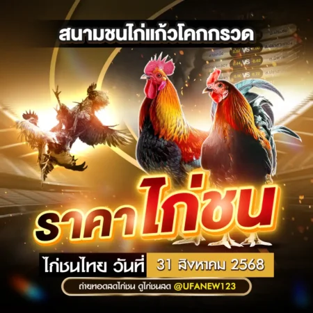 ราคาไก่ชน 31 สิงหาคม 2568