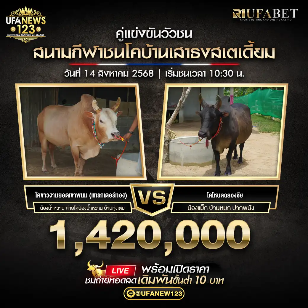 โคขาวงามยอดเขาพนม(แทรกเตอร์ทอง) VS โคโหนดฉลองชัย ชิงรางวัล 1,420,000 บาท 14 สิงหาคม 2568