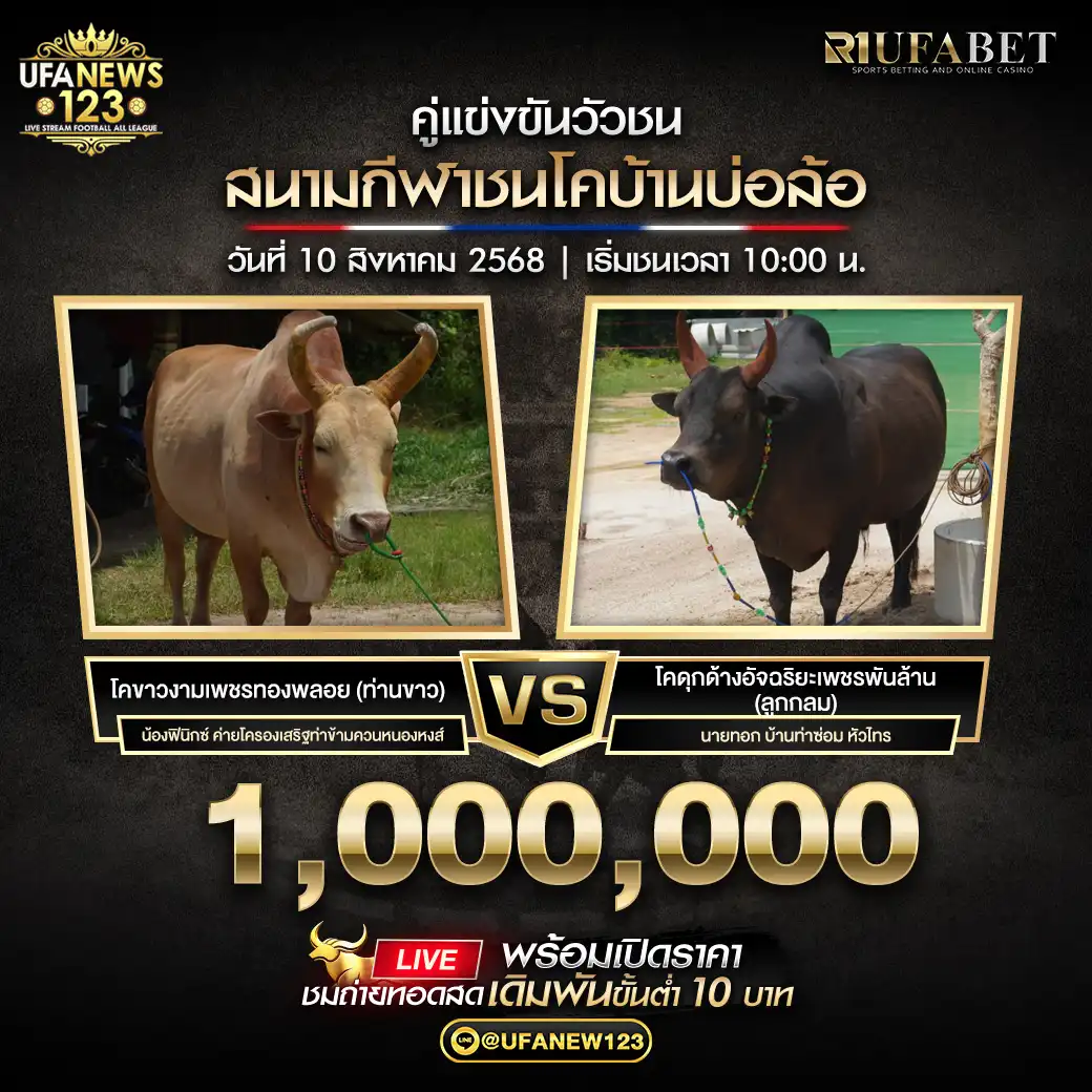 โคขาวงามเพชรทองพลอย (ท่านขาว) VS โคคุกด้างอัจฉริยะเพชรพันล้าน (ลูกกลม) ชิงรางวัล 1,000,000 บาท