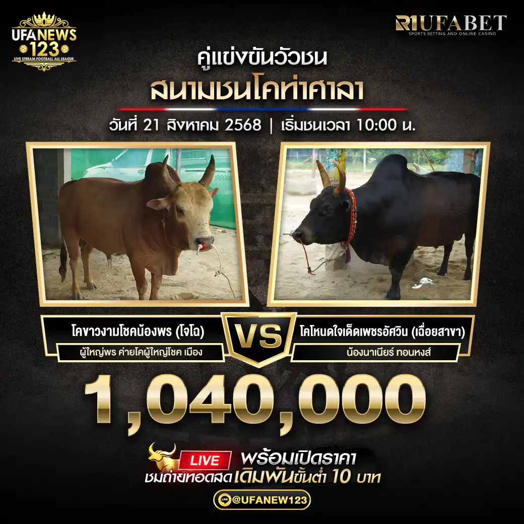 โคขาวงามโชคน้องพร(โจโฉ) VS โคโหนดใจเด็ดเพชรอัศวิน(เฉื่อยสาขา) ชิงรางวัล 1,040,000 บาท
