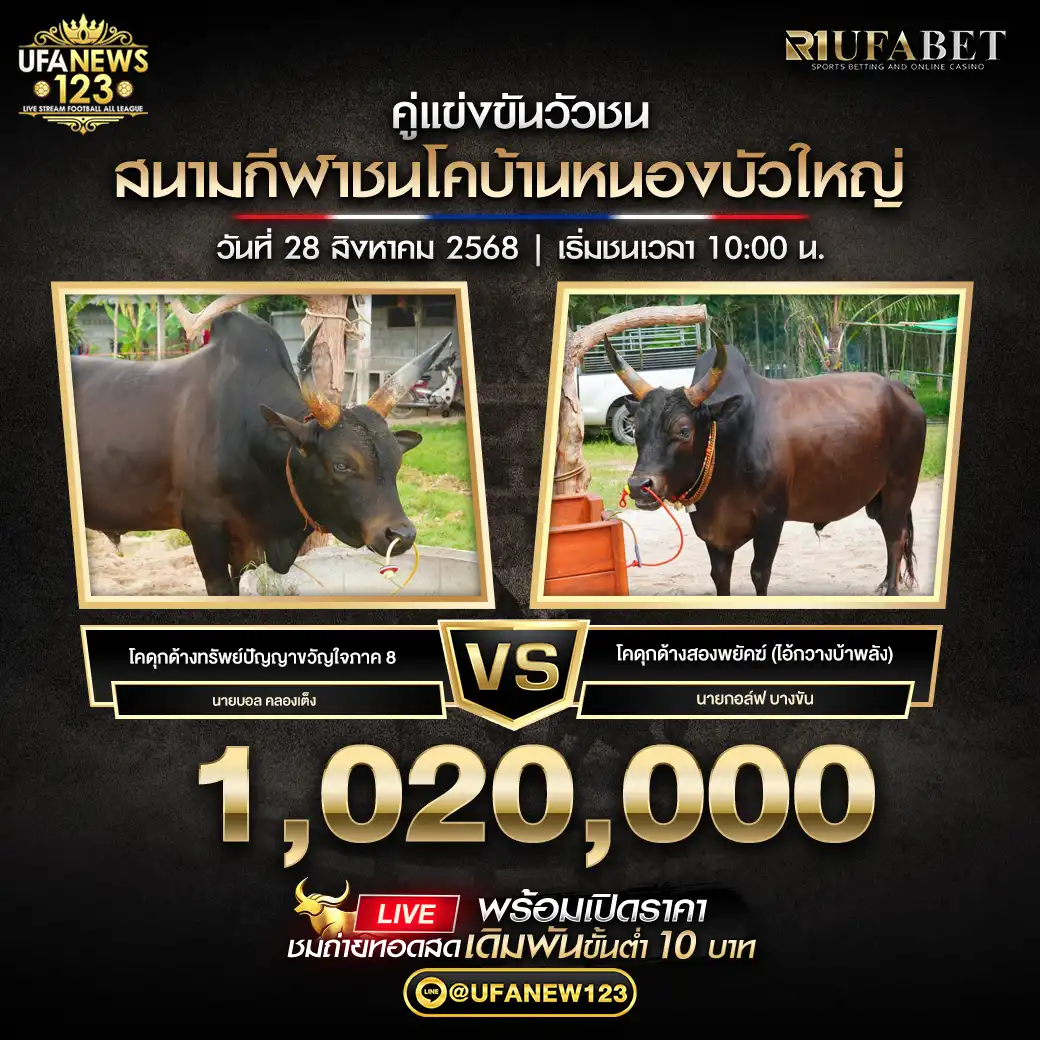 โคดุกด้างทรัพย์ปัญญาขวัญใจภาค 8 VS โคดุกด้างสองพยัคฆ์ (ไอ้กวางบ้าพลัง) ชิงรางวัล 1,020,000 บาท 28 สิงหาคม 2568