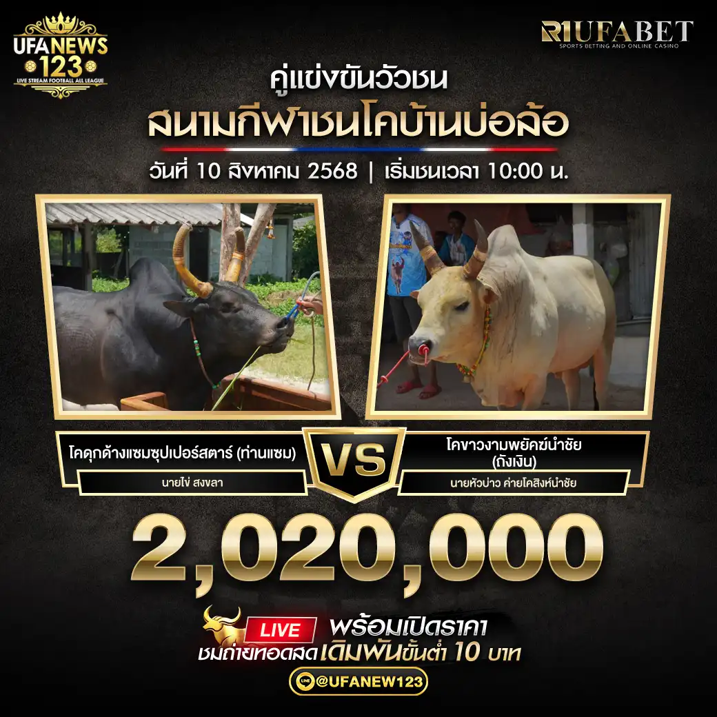 โคดุกด้างแซมซูปเปอร์สตาร์ (ท่านแซม) VS โคขาวงามพยัคฆ์นำชัย (ถังเงิน) ชิงรางวัล 2,020,000 บาท