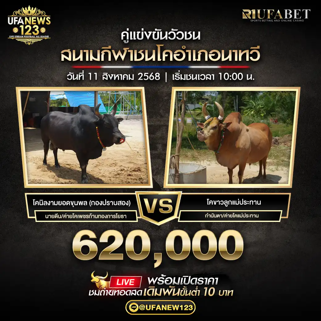 โคนิลงามยอดขุนพล (กองปราบสอง) VS โคขาวลูกแม่ประทาน ชิงรางวัล 620,000 บาท 11 สิงหาคม 2568