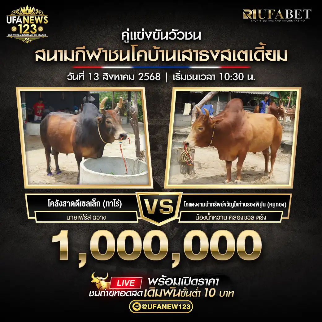 โคลังสาดดีเซลเล็ก(ทาโร่) VS โคแดงงามนำทรัพย์ขวัญใจท่านรองพิปูน(หมูทอง) ชิงรางวัล 1,000,000 บาท