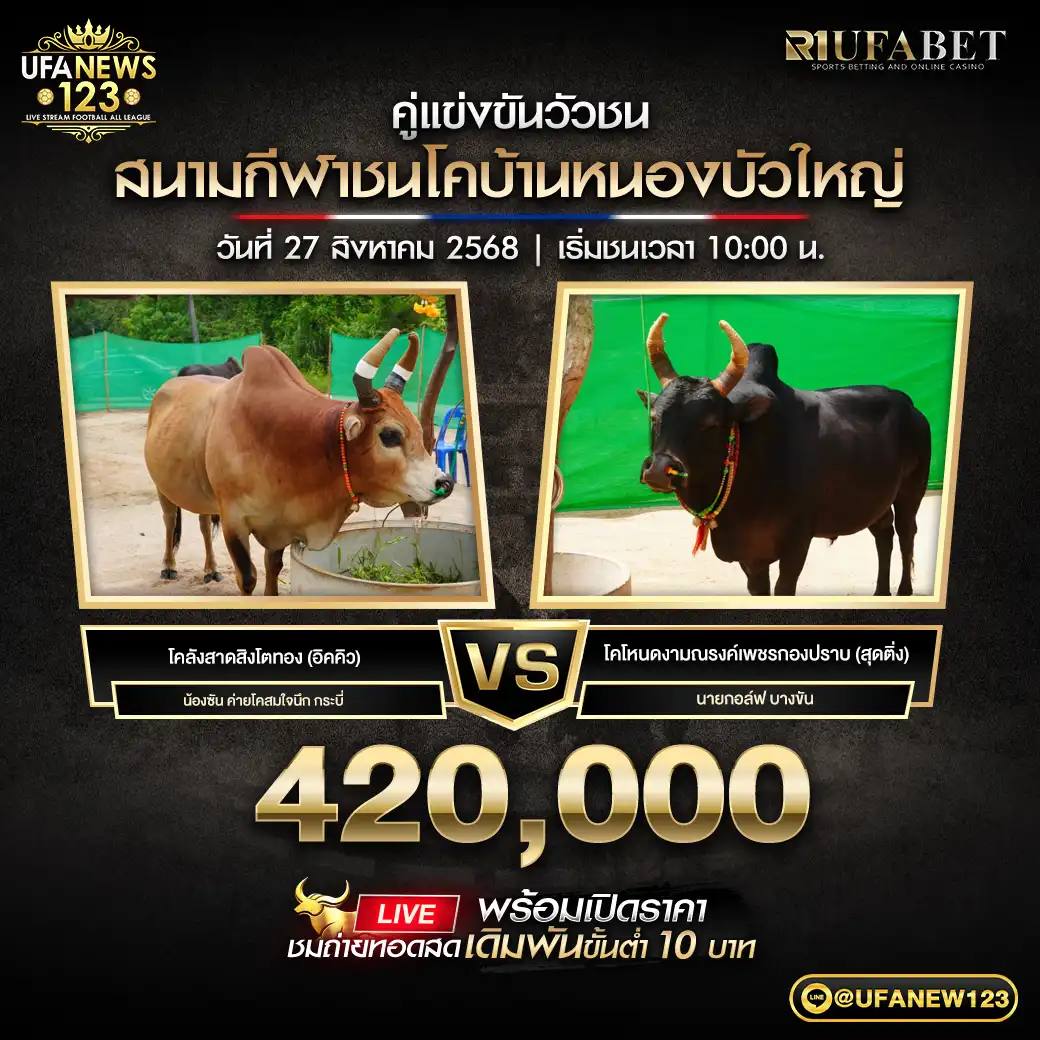 โคลังสาดสิงโตทอง (อิคคิว) VS โคโหนดงามณรงค์เพชรกองปราบ (สุดติ่ง) ชิงรางวัล 420,000 บาท 27 สิงหาคม 2568