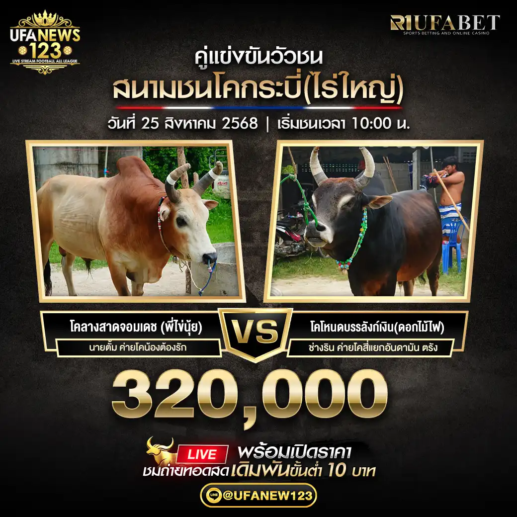 โคลางสาดจอมเดช ( พี่ไขนุ้ย ) VS โคโหนดบรรลังก์เงิน ( ดอกไม้ไฟ) ชิงรางวัล 320,000 บาท 25 สิงหาคม 2568