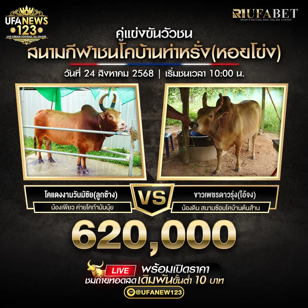 โคแดงงามวันมีชัย (ลูกช้าง) VS โคขาวเพชรดาวรุ่ง (ไอ้จง) ชิงรางวัล 620,000 บาท 24 สิงหาคม 2568