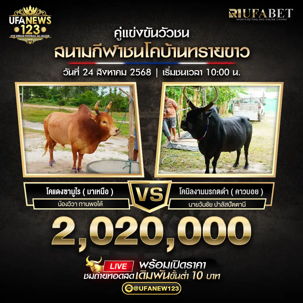 โคแดงซามูไร ( มาเหนือ) VS โคนิลงามมรกตดำ ( คาวบอย) ชิงรางวัล 2,020,000 บาท 24 สิงหาคม 2568