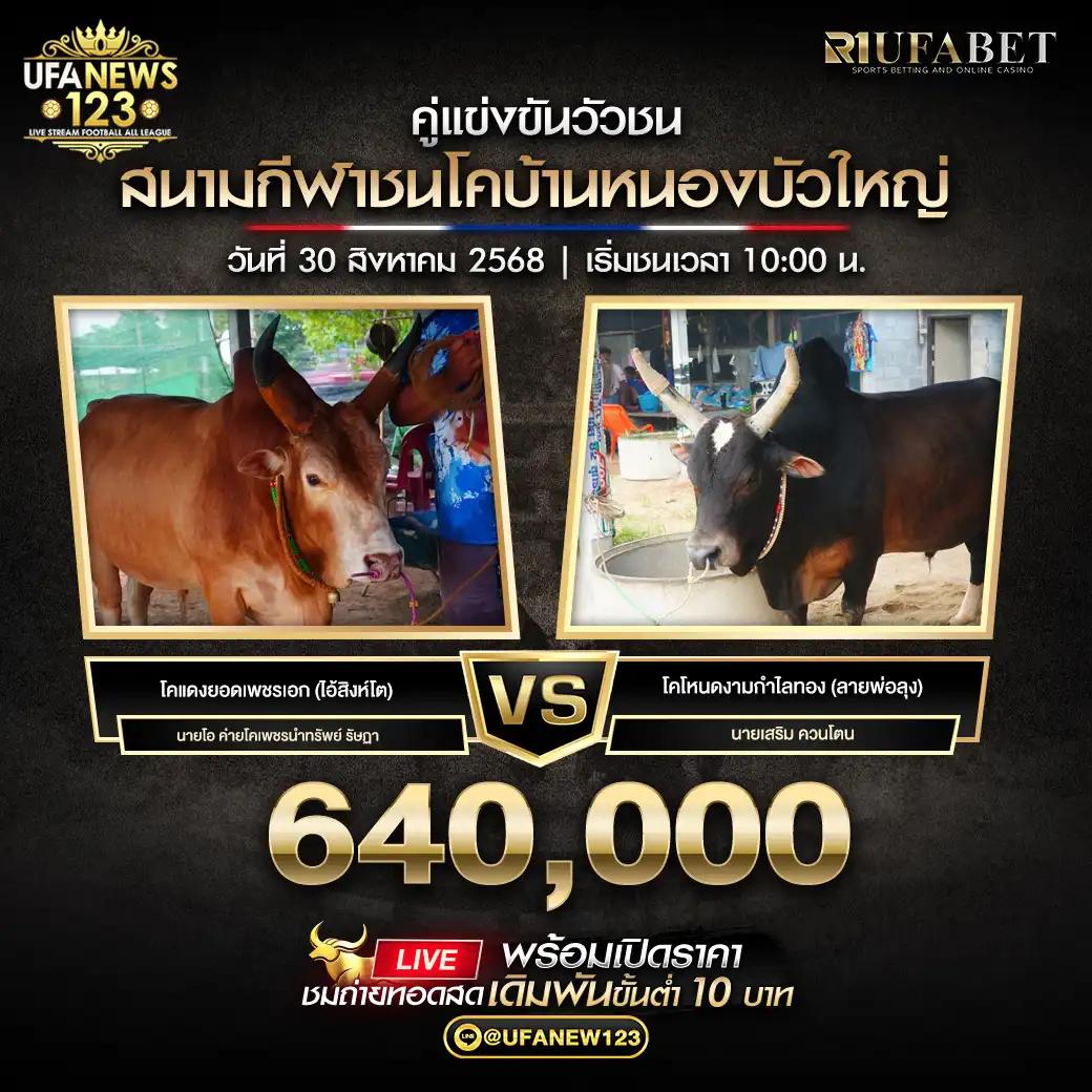 โคแดงยอดเพชรเอก (ไอ้สิงห์โต) VS โคโหนดงามกำไลทอง (ลายพ่อลุง) ชิงรางวัล 640,000 บาท 30 สิงหาคม 2568