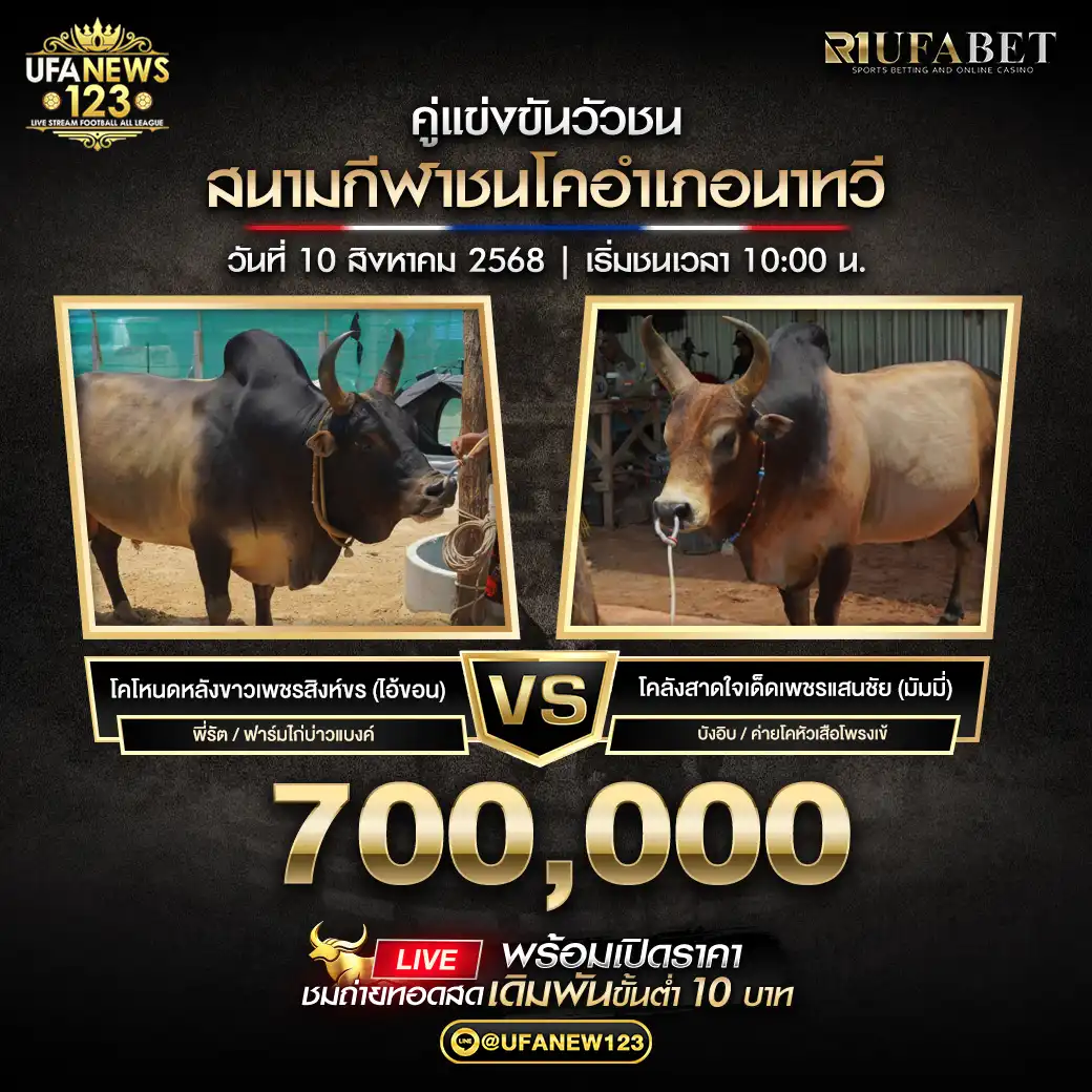 โคโหนดหลังขาวเพชรสิงห์ขร(ไอ้ขอน) VS โคลังสาดใจเด็ดเพชรแสนชัย (มัมมี่) ชิงรางวัล 700,000 บาท 10 สิงหาคม 2568