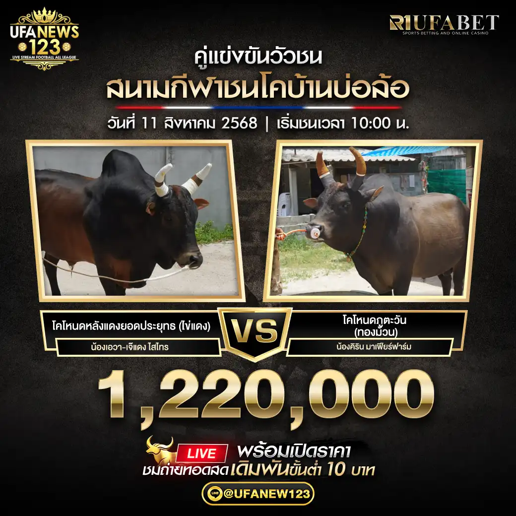 โคโหนดหลังแดงยอดประยุทธ (ไข่แดง) VS โคโหนดภูตะวัน (ทองม้วน) ชิงรางวัล 1,220,000 บาท 11 สิงหาคม 2568