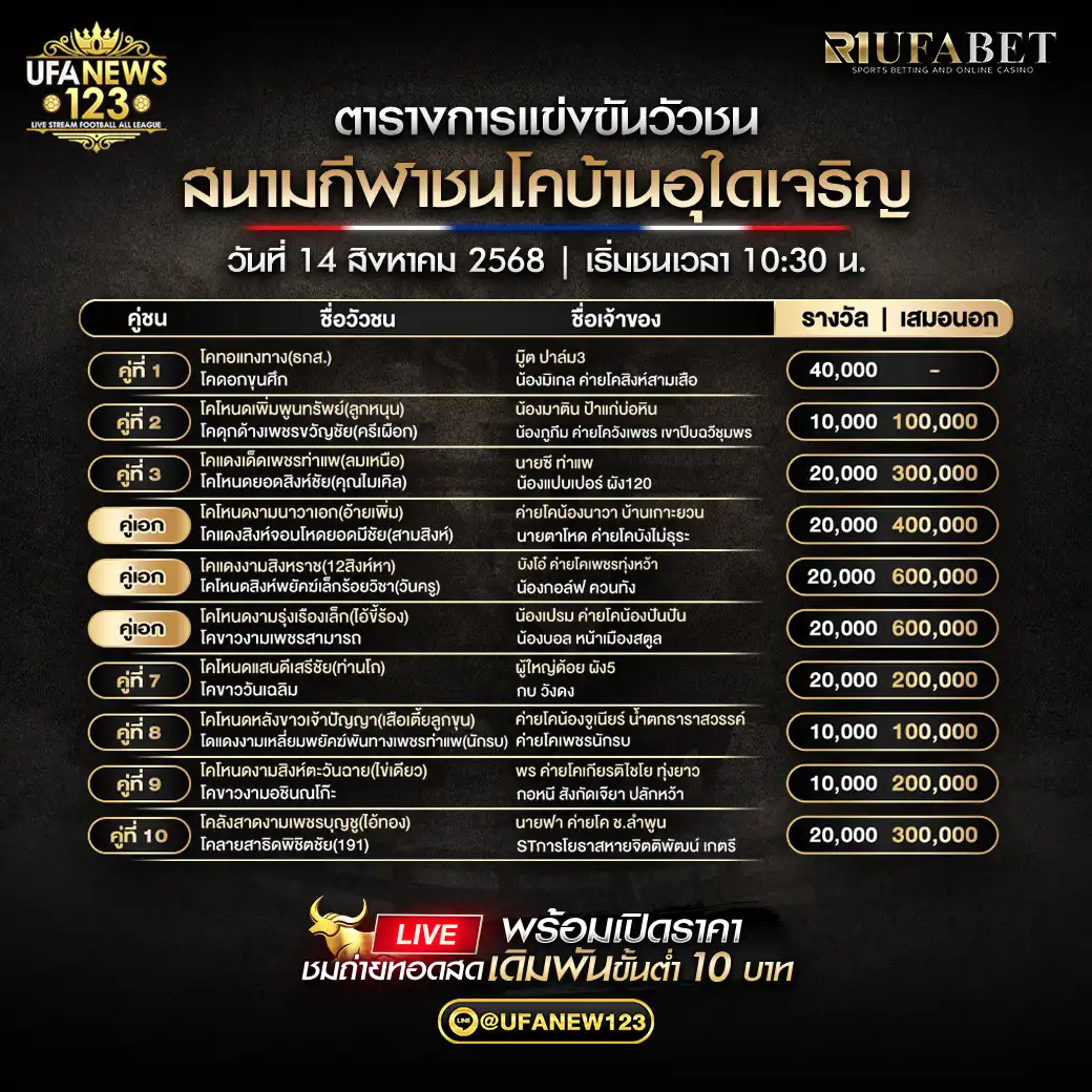 ตารางโปรแกรมวัวชนประจำวันที่ 14 สิงหาคม 2568 | สนามกีฬาชนโคบ้านอุใดเจริญ เริ่มเวลา 10:30 น.