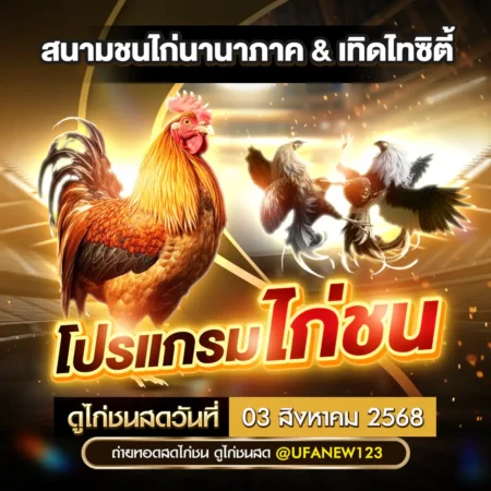 โปรแกรมไก่ชนวันนี้ 03 สิงหาคม 2568
