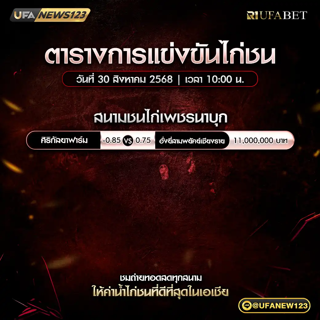 ตารางโปรแกรมไก่ชนประจำวันที่ 30 สิงหาคม 2568 | สนาชนไก่เพชรนาบุก เริ่มเวลา 20:00 น.