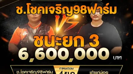 เทปไก่ชน ช.โชคเจริญ98ฟาร์ม VS เถ้าแก่น้อย 06 กันยายน 2568