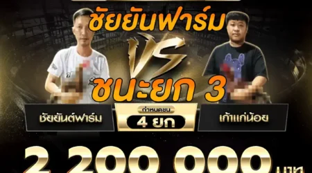 คลิปไก่ชน ชัยยันต์ฟาร์ม VS เถ้าแก่น้อย 20 กันยายน 2568