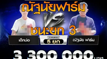 คลิปไก่ชน เด็กบ่อ VS ณัฐนัย ฟาร์ม 08 กันยายน 2568