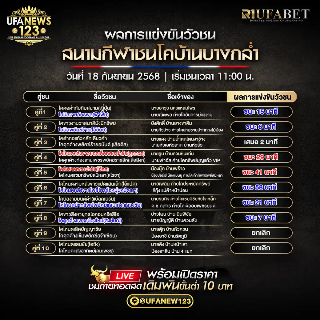 สรุปผลวัวชน วันที่ 18 กันยายน 2568 | สนามชนโคบ้านบางกล่ำ