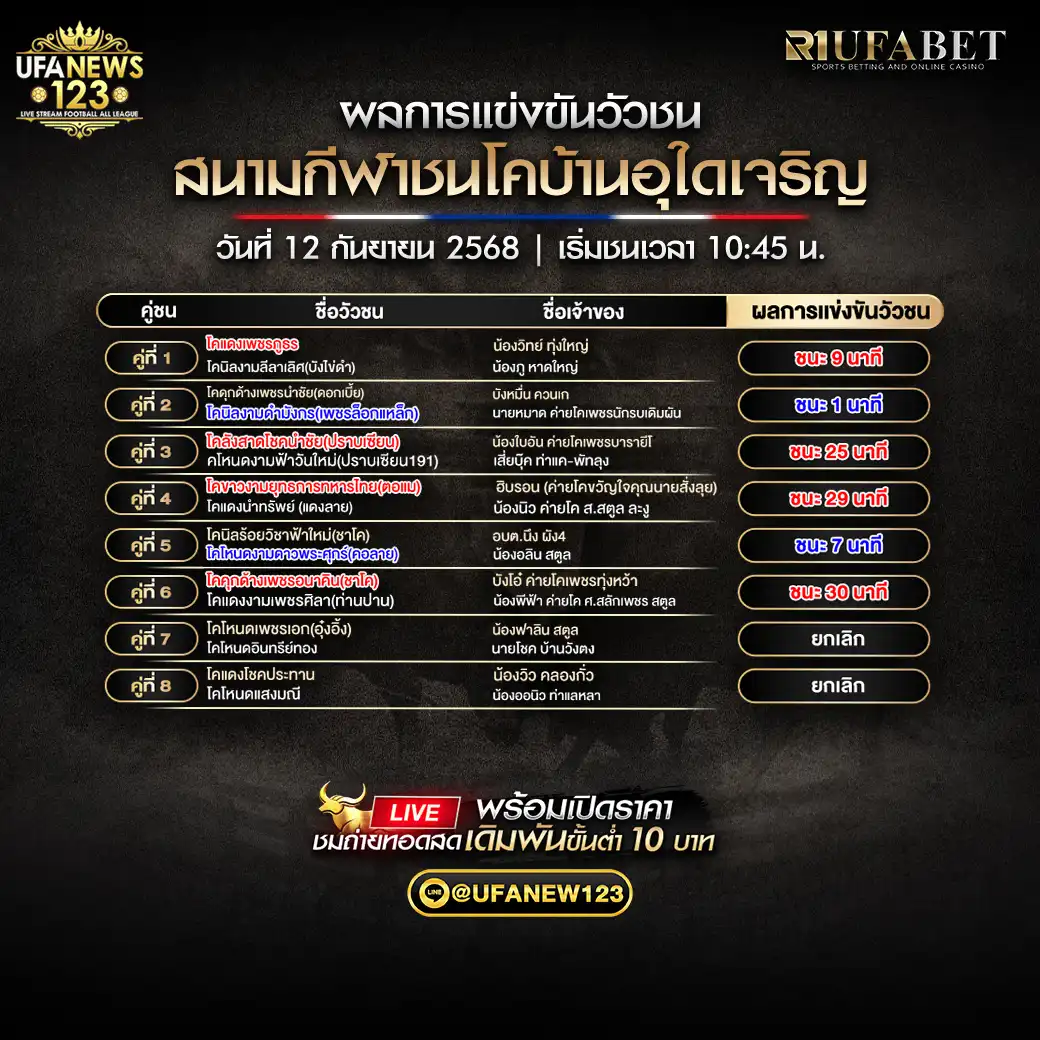 สรุปผลวัวชน วันที่ 12 กันยายน 2568 | สนามชนโคบ้านอุใดเจริญ