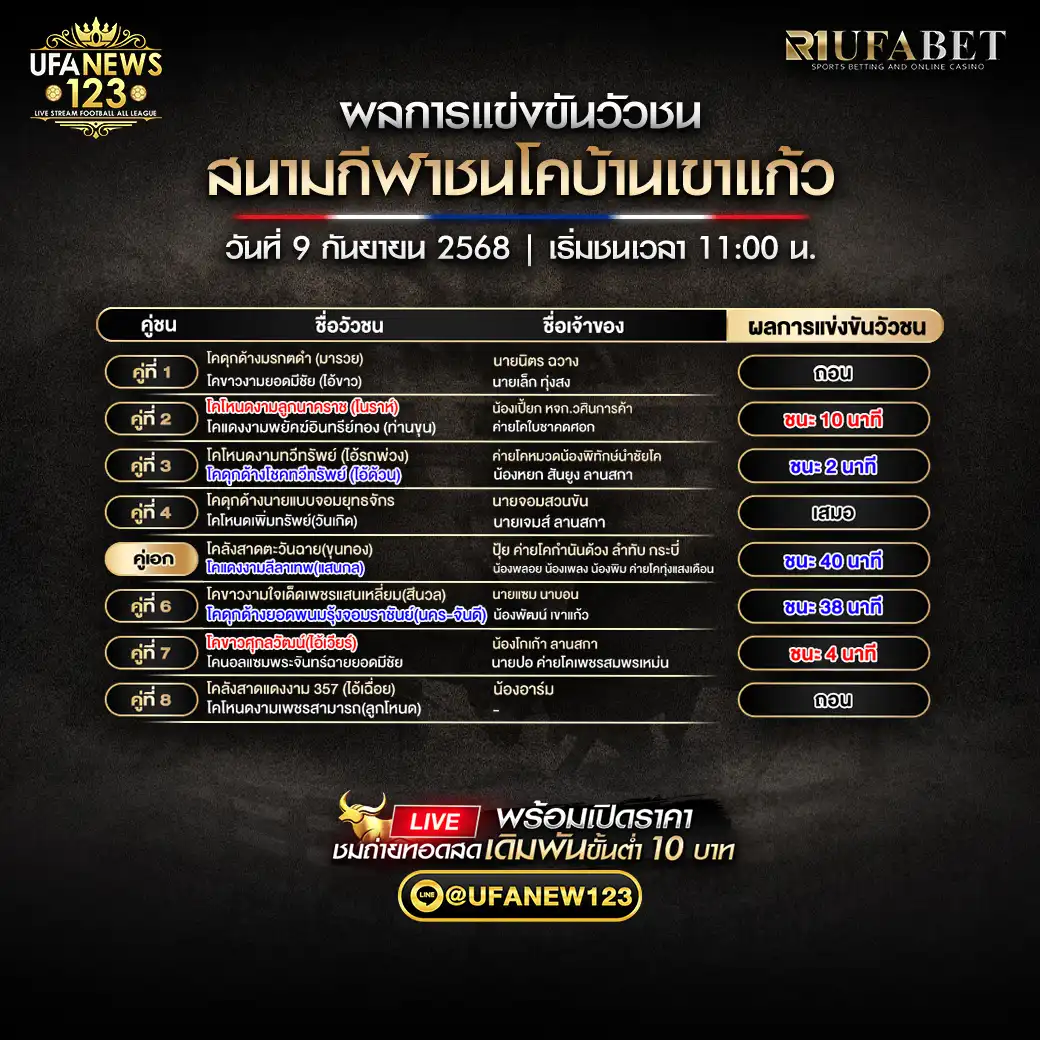 สรุปผลวัวชน วันที่ 09 กันยายน 2568 | สนามชนโคบ้านเขาแก้ว
