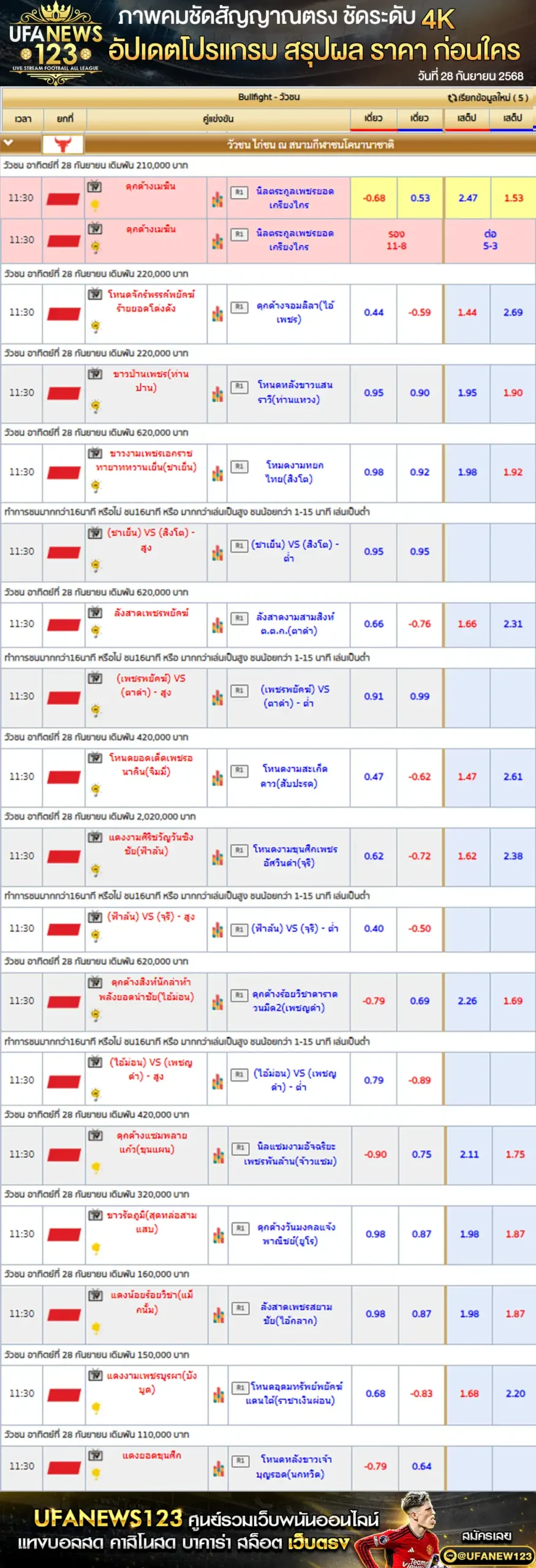 ตารางราคาวัวชนประจำวันที่ 28 กันยายน 2568 | สนามกีฬาชนโคนานาชาติรัตภูมิ เริ่มเวลา 08:00 น.