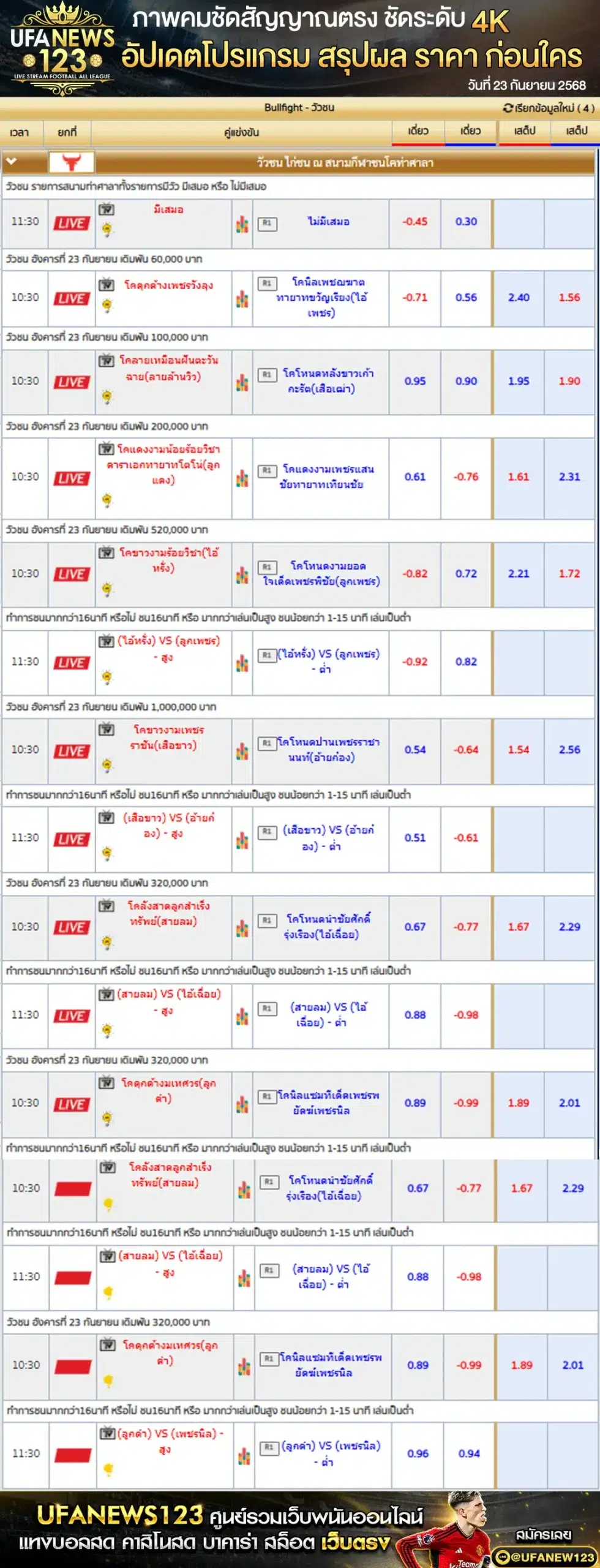 ตารางราคาวัวชนประจำวันที่ 23 กันยายน 2568 | สนามกีฬาชนโคบ้านท่าศาลา เริ่มเวลา 10:00 น.