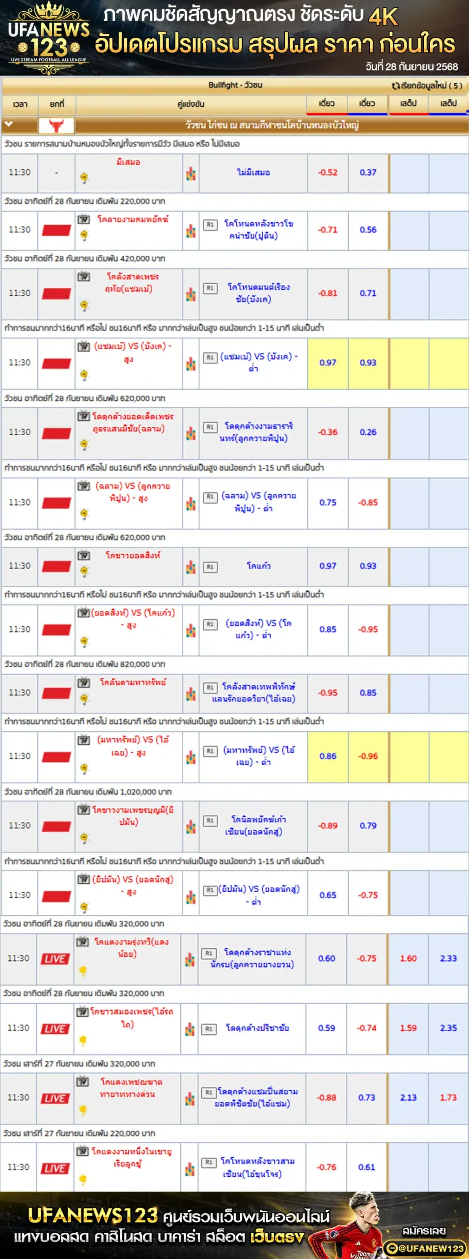 ตารางราคาวัวชนประจำวันที่ 28 กันยายน 2568 | สนามกีฬาชนโคบ้านหนองบัวใหญ่ เริ่มเวลา 10:30 น.