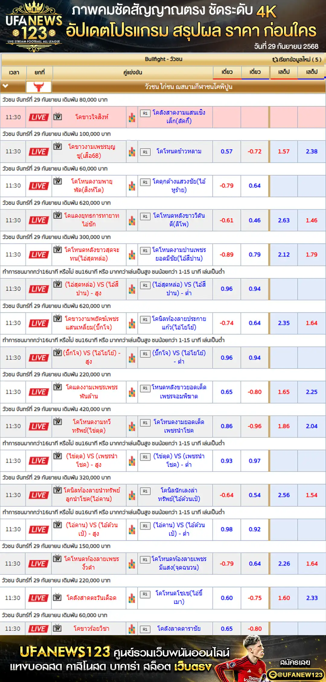 ตารางราคาวัวชนประจำวันที่ 29 กันยายน 2568 | สนามกีฬาชนโคพิปูน เริ่มเวลา 10:00 น.
