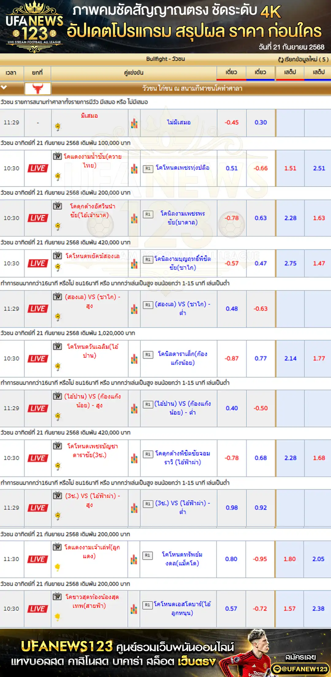 ตารางราคาวัวชนประจำวันที่ 21 กันยายน 2568 | สนามกีฬาชนโคท่าศาลา เริ่มเวลา 10:00 น.