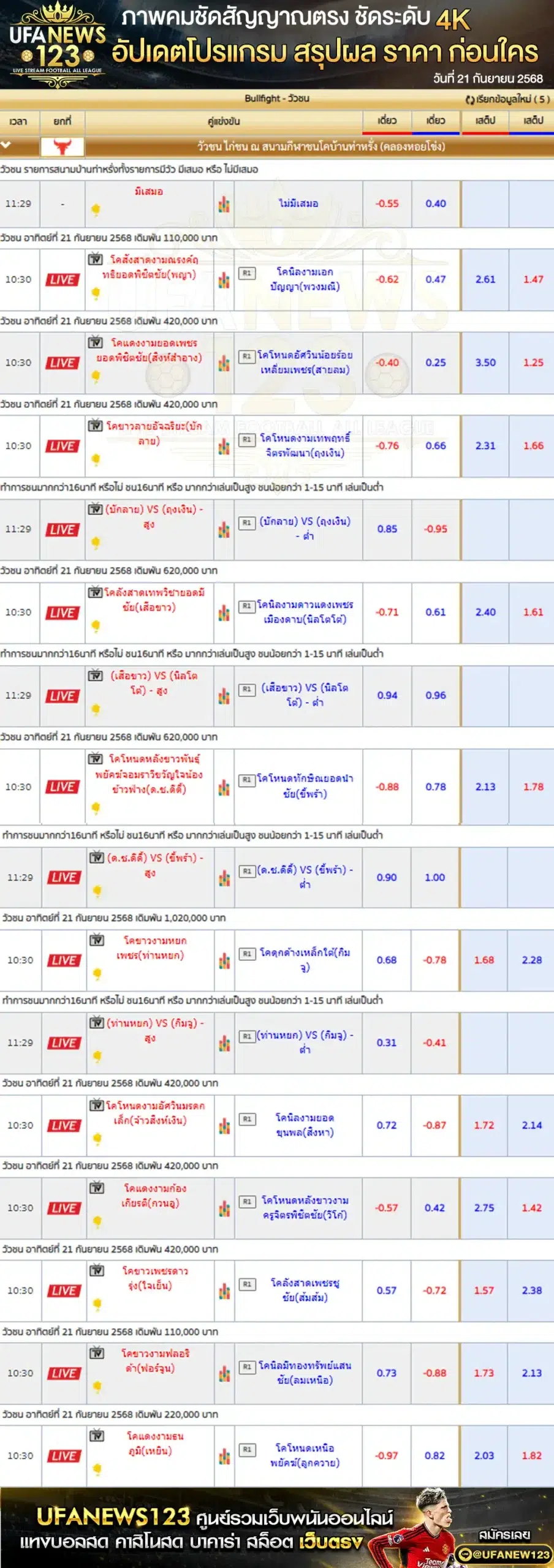 ตารางราคาวัวชนประจำวันที่ 21 กันยายน 2568 | สนามกีฬาชนโคบ้านท่าหรั่ง (หอยโข่ง) เริ่มเวลา 10:30