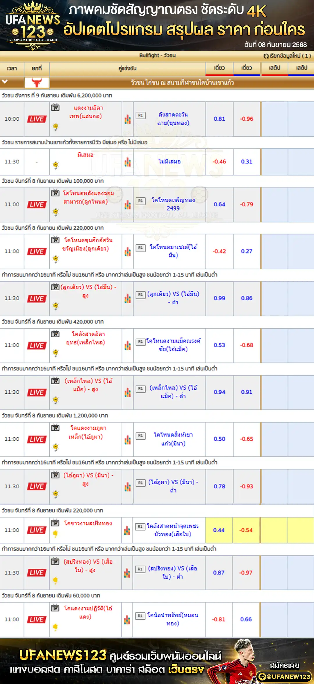 ตารางราคาวัวชนประจำวันที่ 08 กันยายน 2568 | สนามกีฬาชนโคบ้านเขาแก้ว เริ่มเวลา 11:00 น.