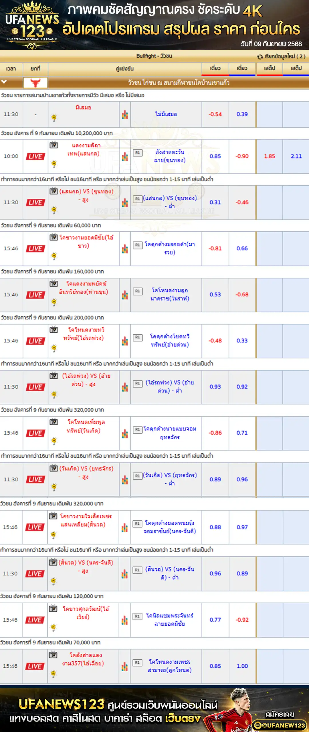 ตารางราคาวัวชนประจำวันที่ 09 กันยายน 2568 | สนามกีฬาชนโคบ้านเขาแก้ว เริ่มเวลา 11:00 น.
