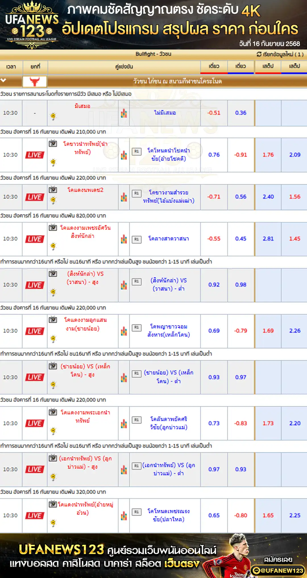 ตารางราคาวัวชนประจำวันที่ 16 กันยายน 2568 | สนามกีฬาชนโคระโนดสเตเดี้ยม เริ่มเวลา 10:30 น.