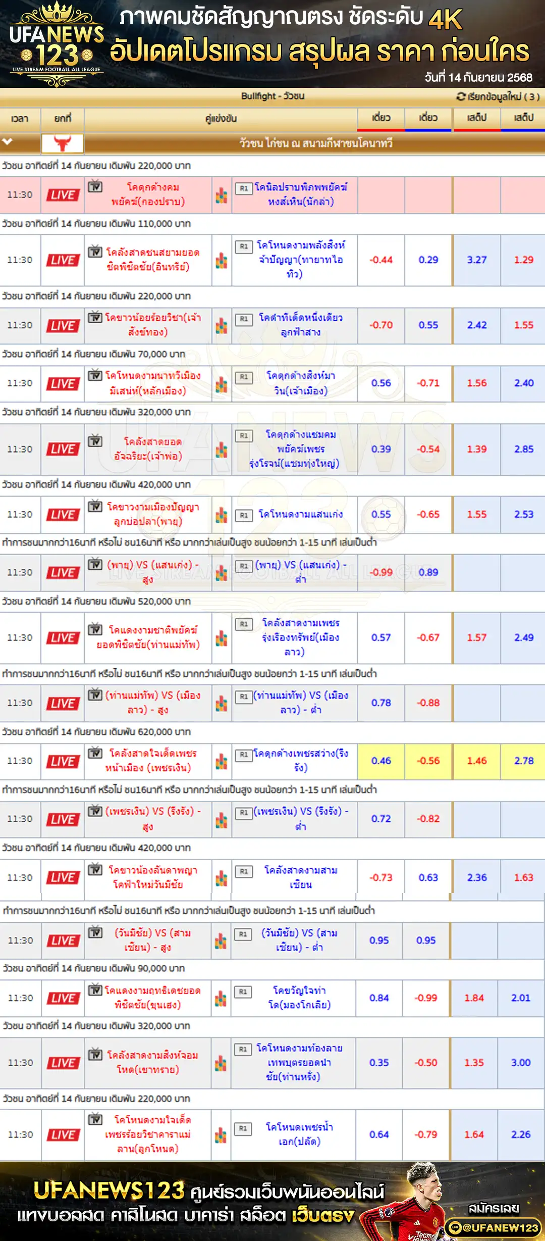 ตารางราคาวัวชน วันที่ 14 กันยายน 2568 | สนามกีฬาชนโคอำเภอนาทวี เริ่มเวลา 09:00 น.