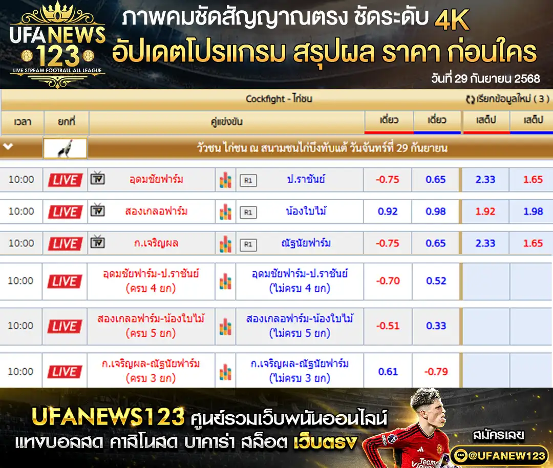 ตารางราคาไก่ชนประจำวันที่ 29 กันยายน 2568 | สนามชนไก่บึงทับแต้ เริ่มเวลา 10:00 น.
