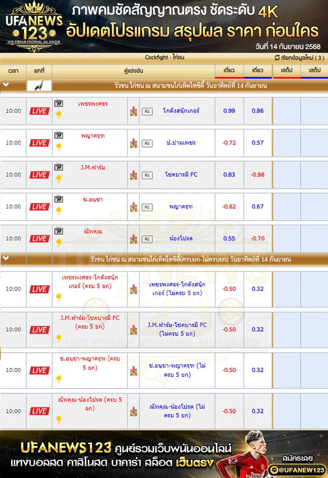 ตารางราคาไก่ชน วันที่ 14 กันยายน 2568 | สนามชนไก่เทิดไทซิตี้ เริ่ม 10:00 น.
