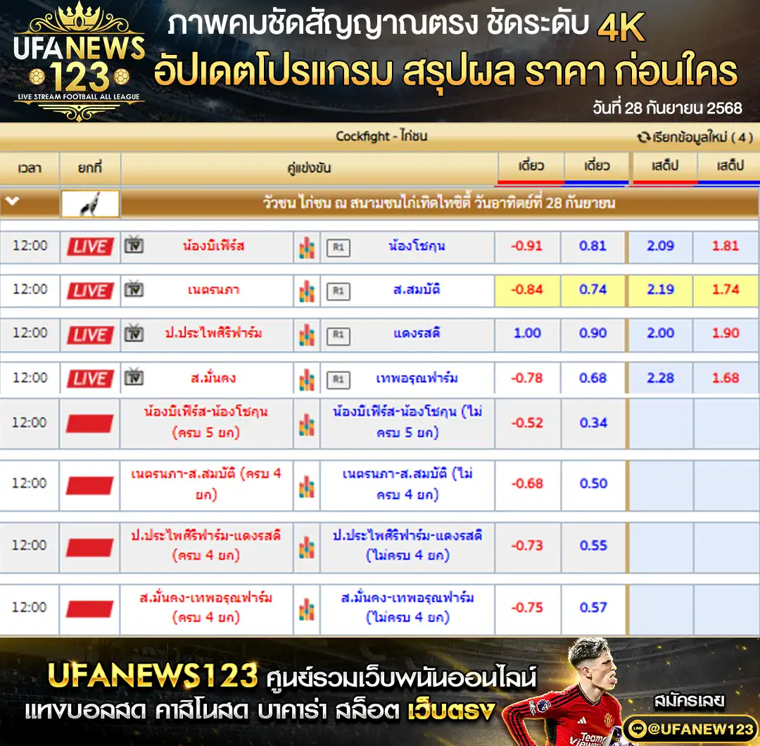 ตารางราคาไก่ชนประจำวันที่ 28 กันยายน 2568 | สนามชนไก่เทิดไทซิตี้ เริ่มเวลา 10:00 น.
