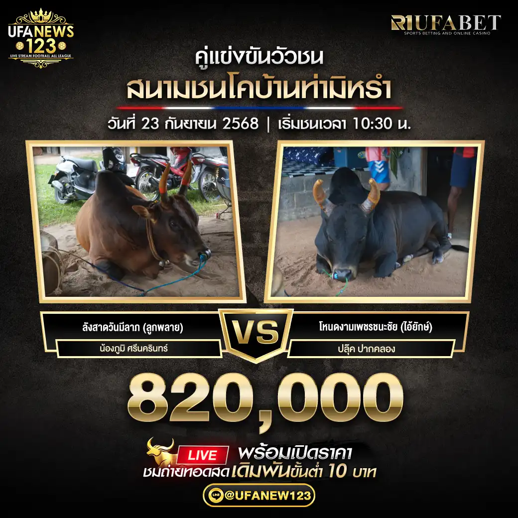 ลังสาดวันมีลาภ (ลูกพลาย) VS โหนดงามเพชรชนะชัย (ไอ้ยักษ์) ชิงรางวัล 820,000 บาท 23 กันยายน 2568