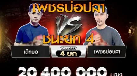 คลิปไก่ชน เด็กบ่อ VS เพชรบ่อปลา 21 กันยายน 2568