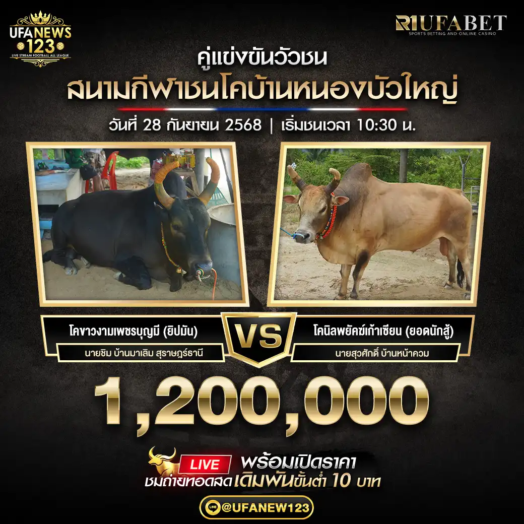 โคขาวงามเพชรบุญมี (ยิปมัน) VS โคนิลพยัคฆ์เก้าเซียน (ยอดนักสู้) ชิงรางวัล 1,200,000 บาท 28 กันยายน 2568