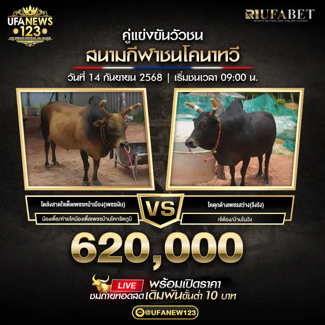 โคดุกด้างเพชรสว่าง(รึงรัง) VS โคลังสาดใจเด็ดเพชรหน้าเมือง(เพชรเงิน) ชิงรางวัล 620,000 บาท