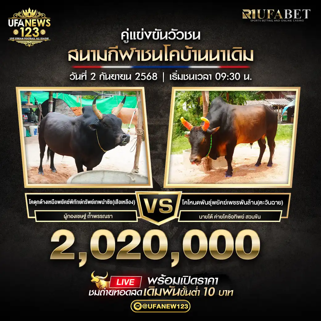 โคดุกด้างเหนือพยัคฆ์พิทักษ์ทรัพย์เทพนำชัย(เสือเหลือง) VS โคโหนดพันธุ์พยัคฆ์เพชรพันล้าน(ตะวันฉาย) ชิงรางวัล 2,020,000 บาท