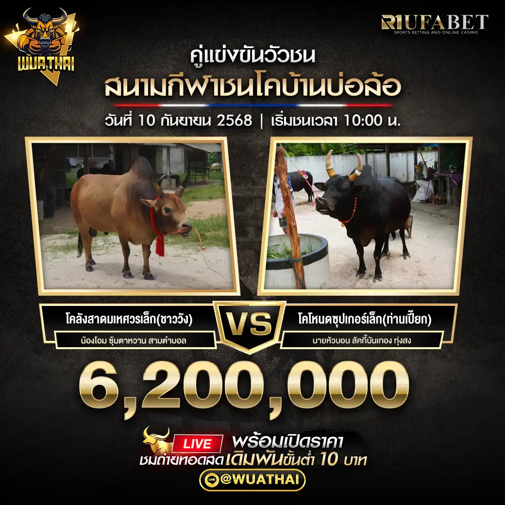 โคลังสาดตะวันฉาย(ขุนทอง) VS โคแดงงามลีลาเทพ(แสนกล) ชิงรางวัล 6,200,000 บาท  09 กันยายน 2568
