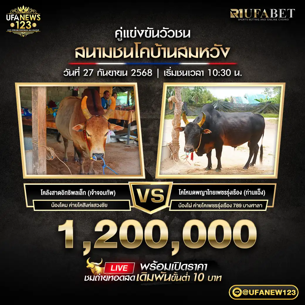โคลังสาดอิทธิพลเล็ก (เจ้าจอมทัพ) VS โคโหนดพญาไทยเพชรรุ่งเรือง (ท่านแฉ็ง) ชิงรางวัล 1,200,000 บาท 27 กันยายน 2568