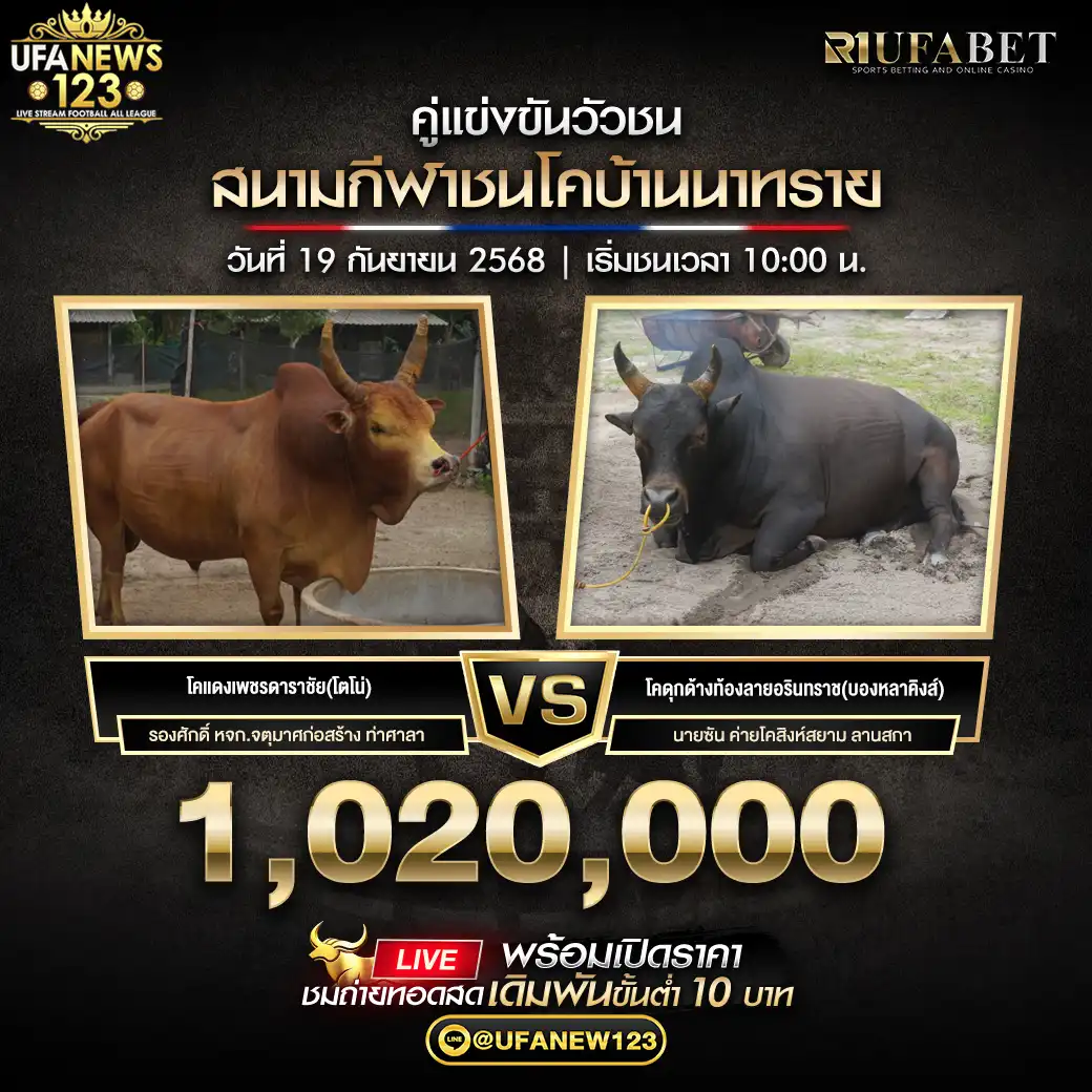 โคแดงเพชรดาราชัย (โตโน่) VS โคดุกด้างท้องลายอรินทราช (บอลหลาคิงส์) ชิงรางวัล 1,020,000 บาท 19 กันยายน 2568