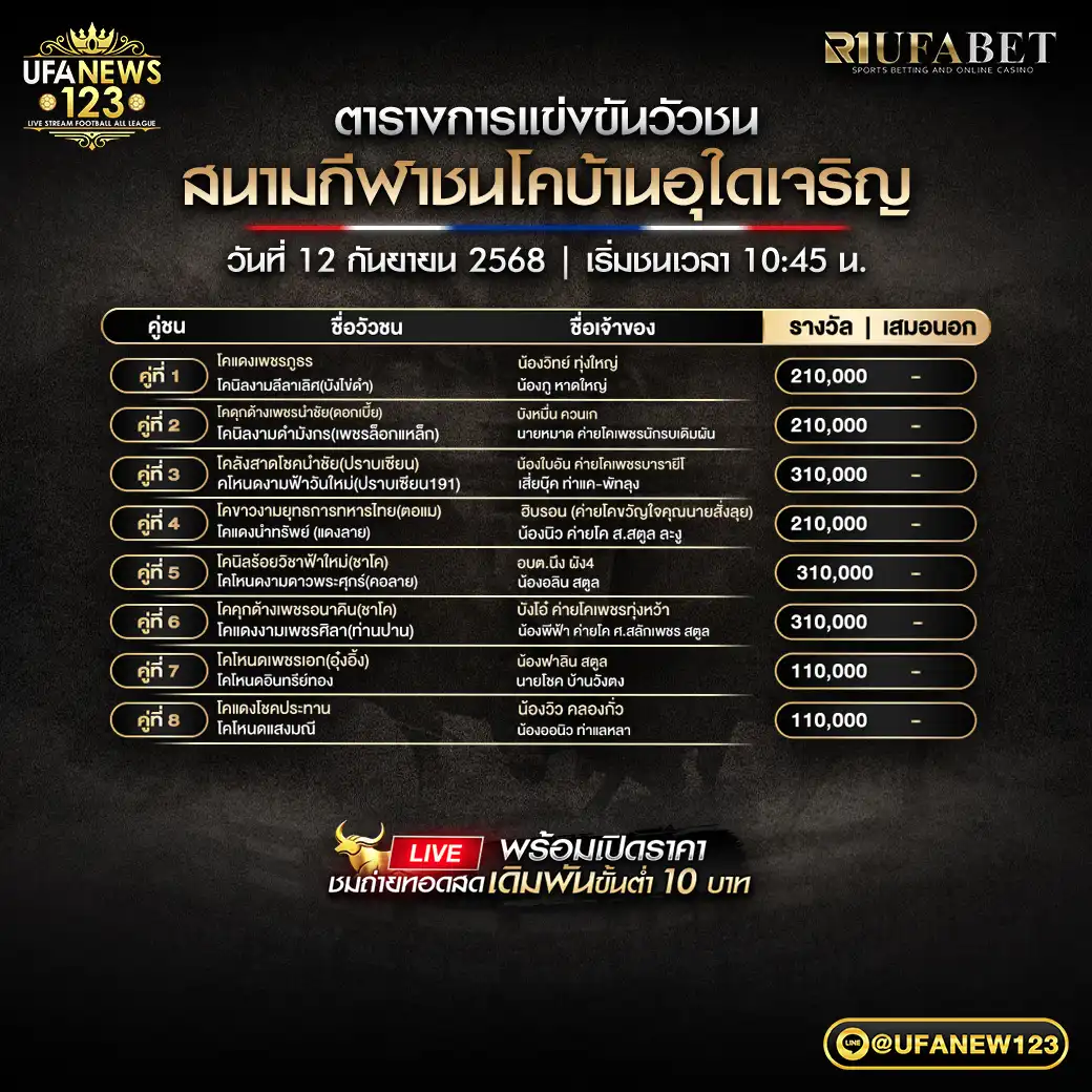 ตารางโปรแกรมวัวชน วันที่ 12 กันยายน 2568 | สนามชนโคบ้านอุใดเจริญ เริ่มเวลา 10:45 น.