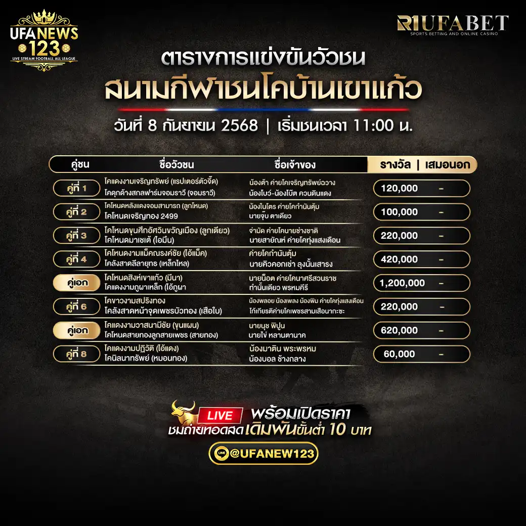 ตารางโปรแกรมวัวชนประจำวันที่ 08 กันยายน 2568 | สนามชนโคบ้านเขาแก้ว เริ่มเวลา 11:00 น. 