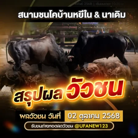 ผลวัวชน 02 ตุลาคม 2568