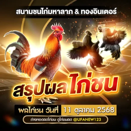 ผลไก่ชน 11 ตุลาคม 2568